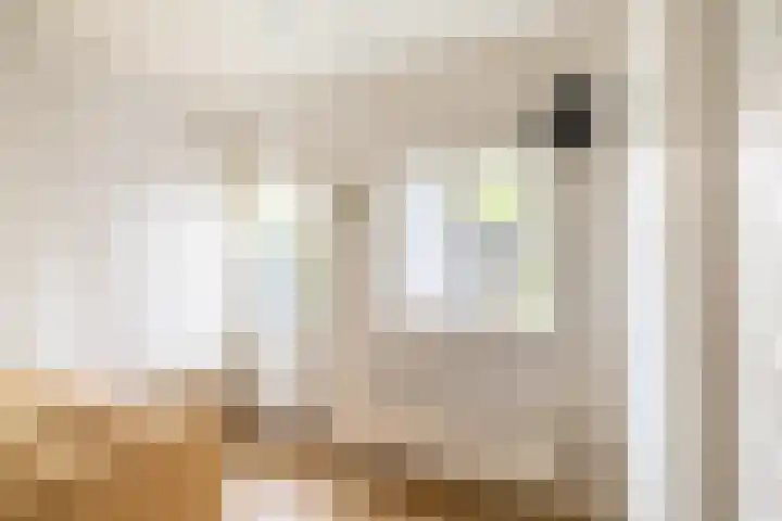 Warder 129 Warder thumbnail 20