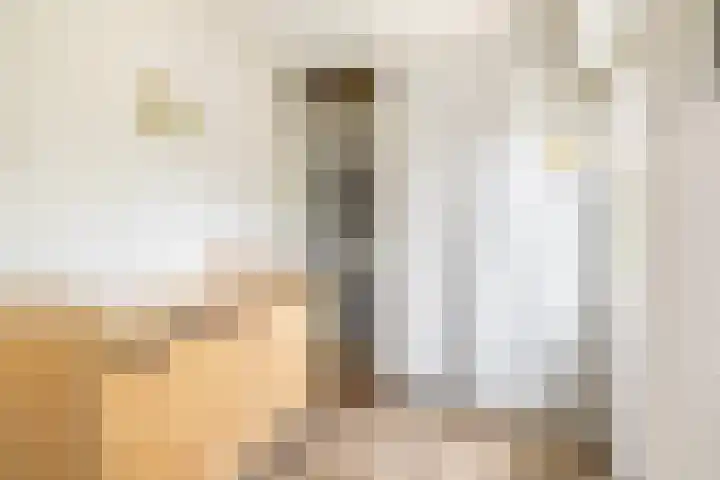 Warder 129 Warder thumbnail 21