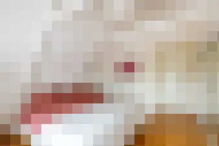 Warder 129 Warder thumbnail 27