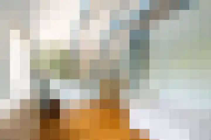 Warder 129 Warder thumbnail 32