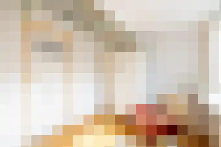 Warder 129 Warder thumbnail 36