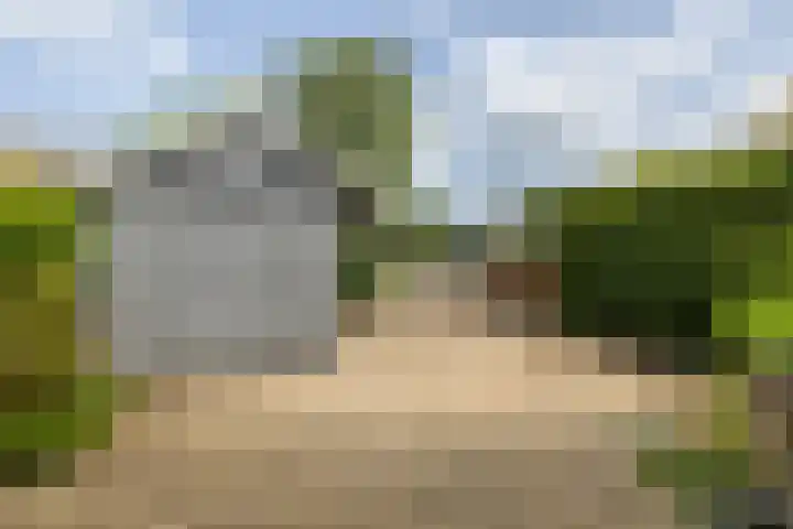 Warder 129 Warder thumbnail 4