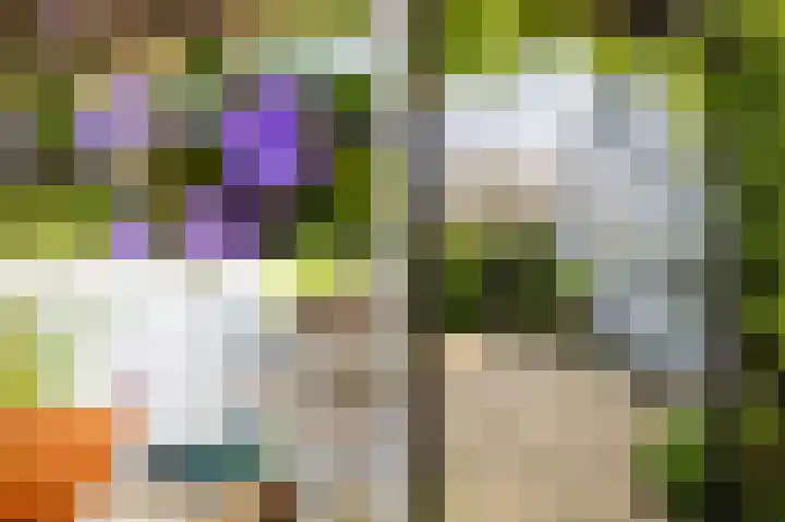 Warder 129 Warder thumbnail 40