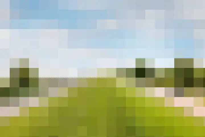 Warder 129 Warder thumbnail 44