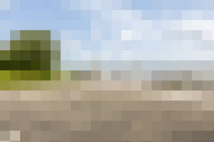 Warder 129 Warder thumbnail 47
