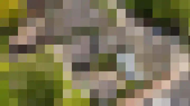 Warder 129 Warder thumbnail 5
