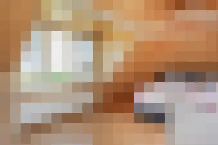 Warder 13 Warder thumbnail 15