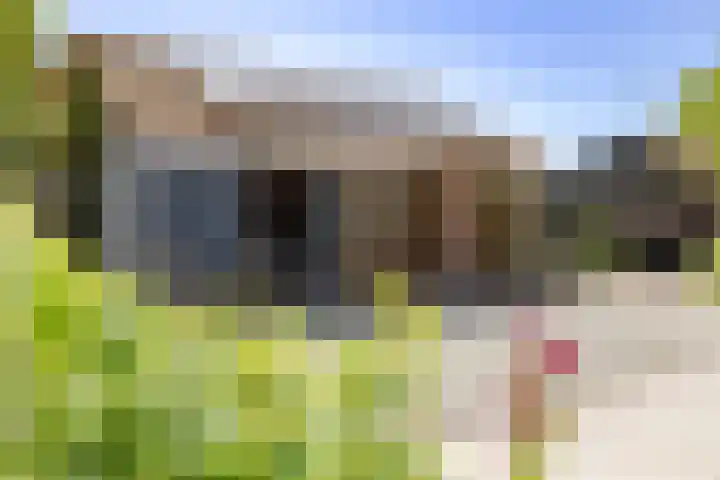 Warder 13 Warder thumbnail 17