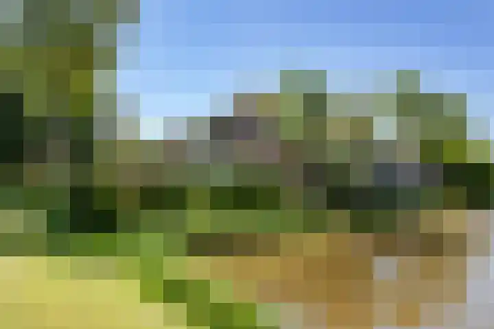 Warder 13 Warder thumbnail 19