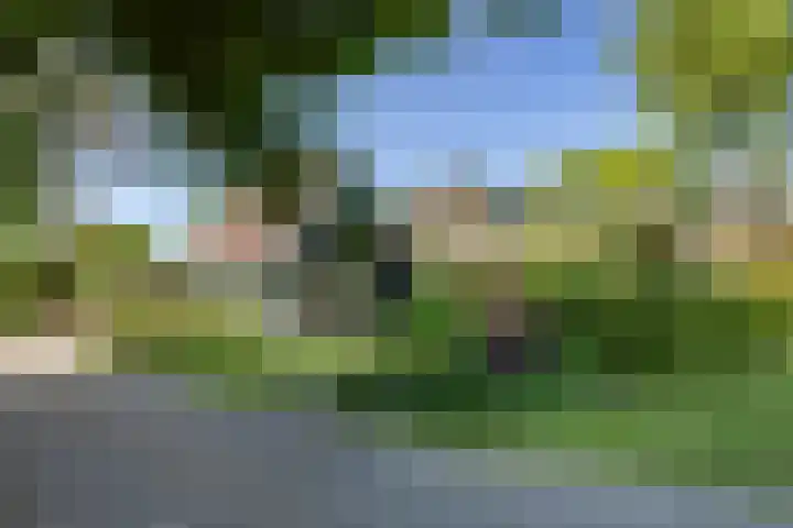 Warder 13 Warder thumbnail 20