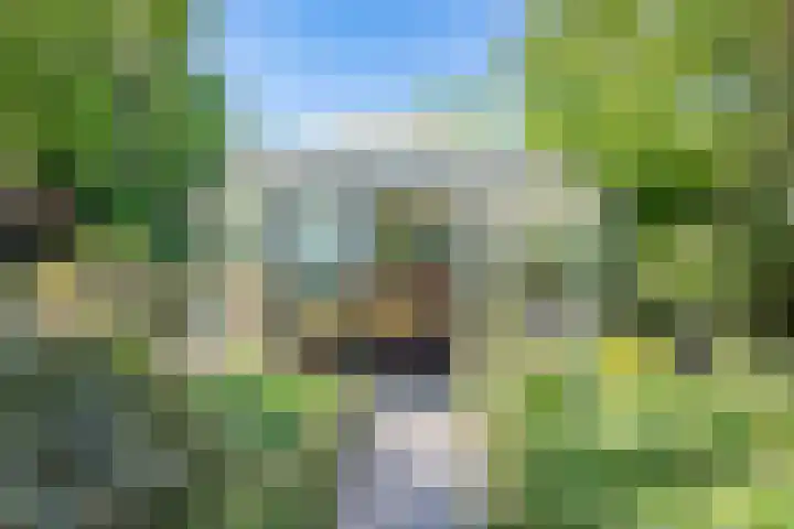 Warder 13 Warder thumbnail 23