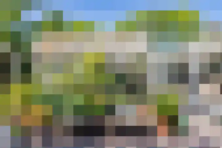 Warder 13 Warder thumbnail 24