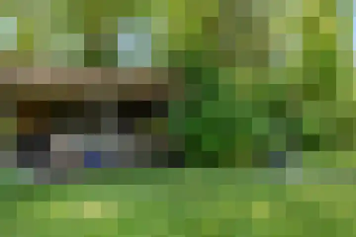 Warder 13 Warder thumbnail 25