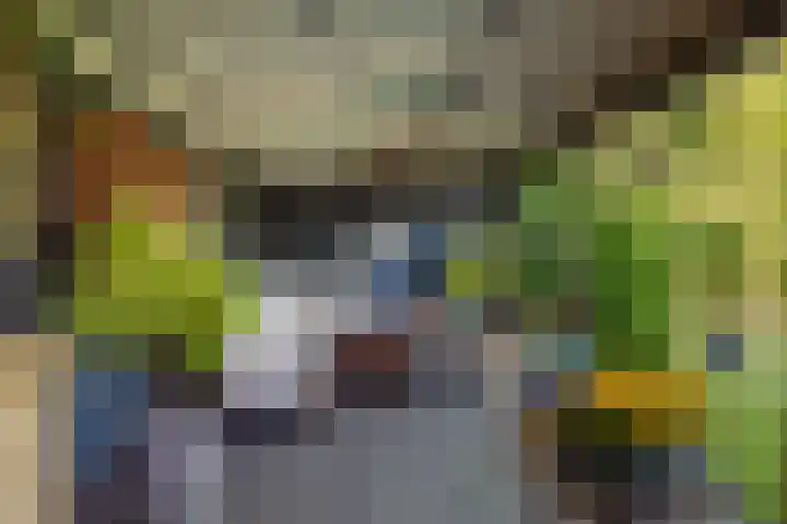 Warder 13 Warder thumbnail 27