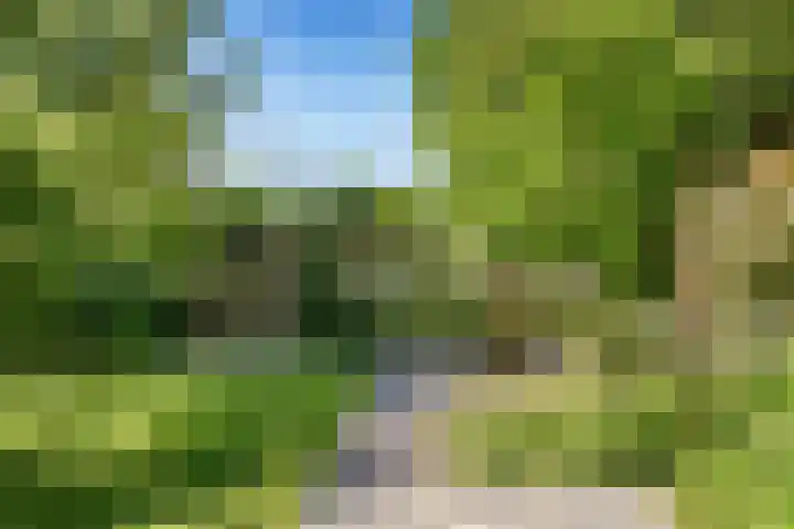 Warder 13 Warder thumbnail 29