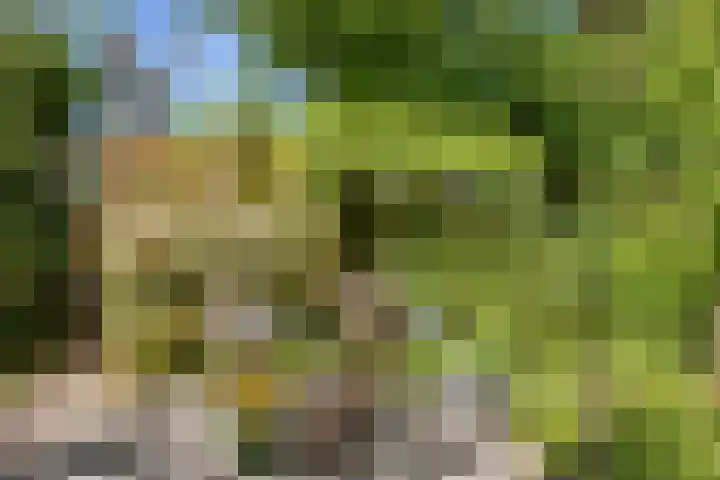 Warder 13 Warder thumbnail 30