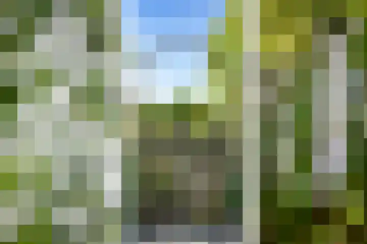Warder 13 Warder thumbnail 31