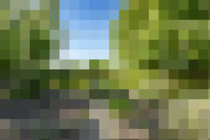 Warder 13 Warder thumbnail 32