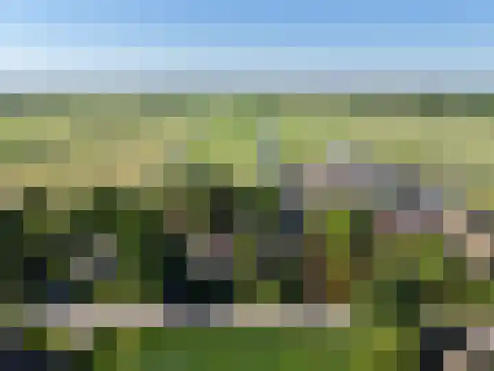 Warder 13 Warder thumbnail 4