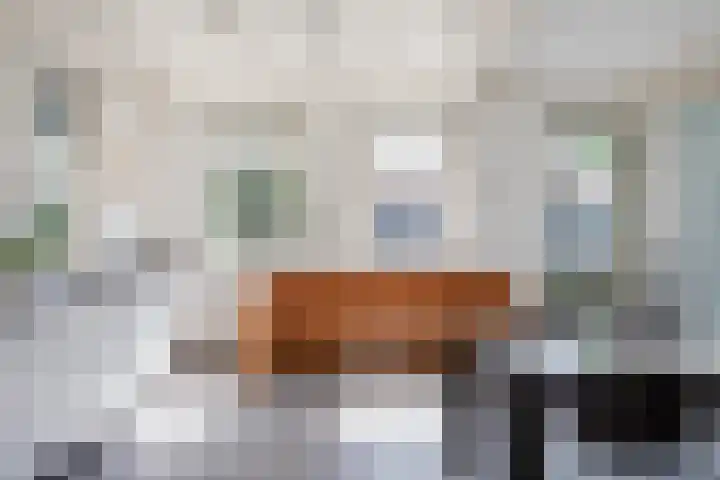 Warder 13 Warder thumbnail 5