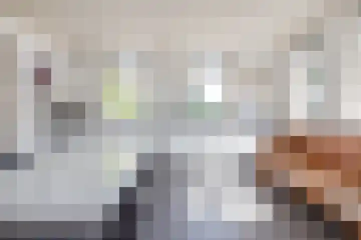 Warder 13 Warder thumbnail 6