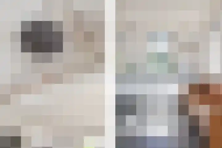 Warder 13 Warder thumbnail 7