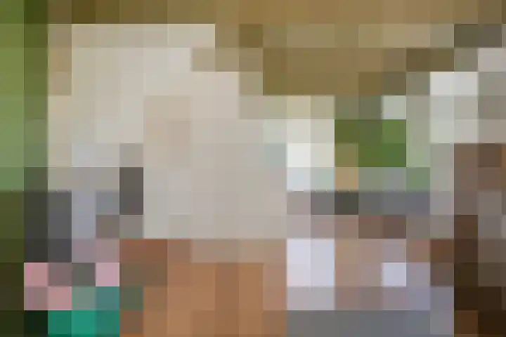 Warder 13 Warder thumbnail 8
