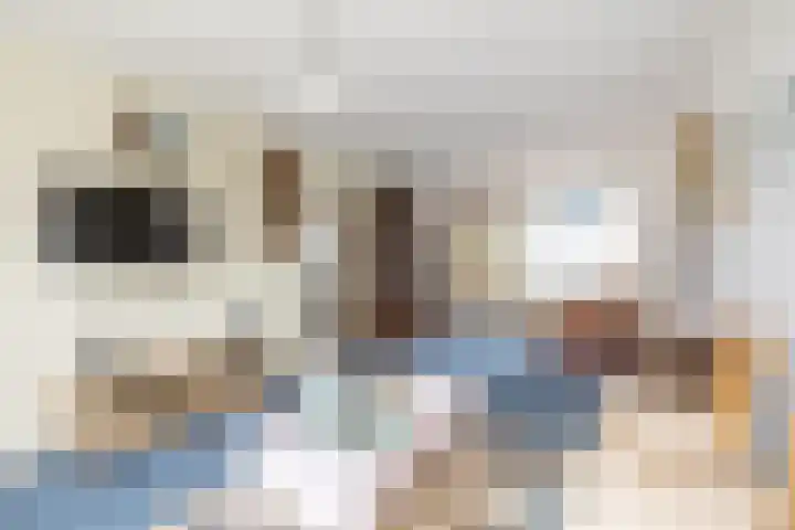 Warder 169 Warder thumbnail 12