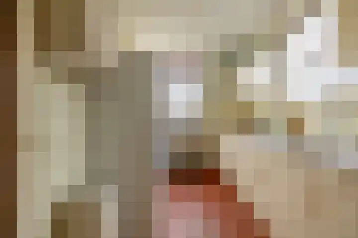 Warder 169 Warder thumbnail 17