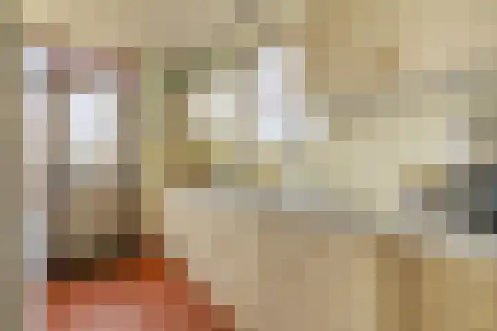 Warder 169 Warder thumbnail 18