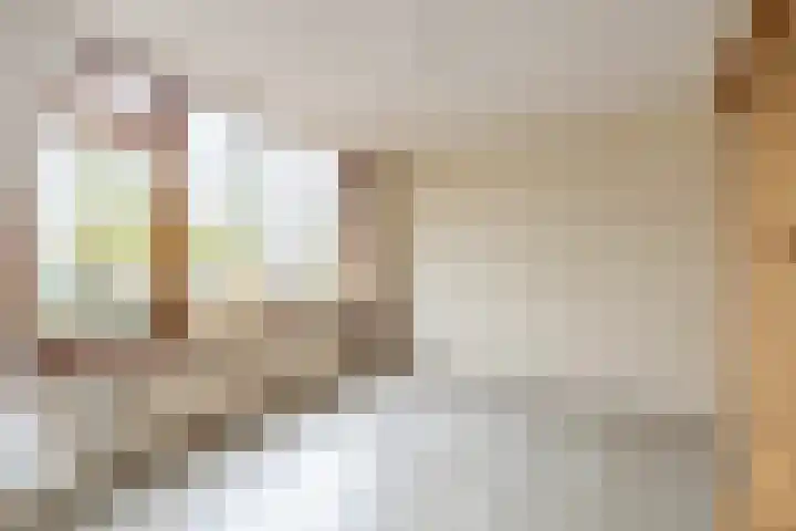 Warder 169 Warder thumbnail 23
