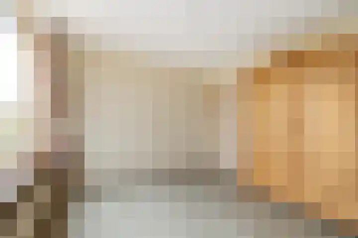 Warder 169 Warder thumbnail 25