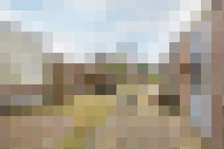 Warder 169 Warder thumbnail 32