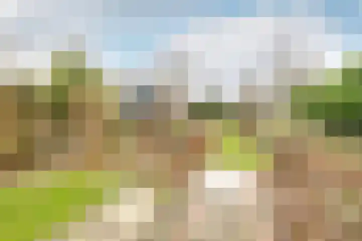 Warder 169 Warder thumbnail 35