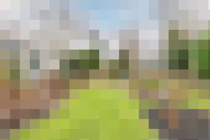 Warder 169 Warder thumbnail 36