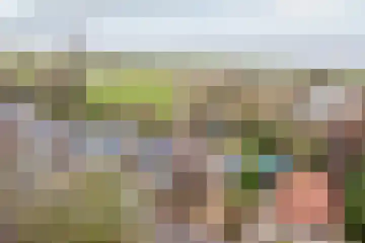 Warder 169 Warder thumbnail 4