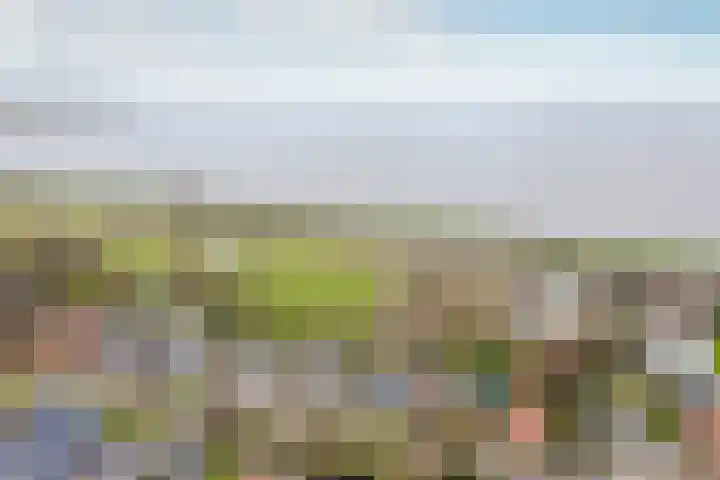 Warder 169 Warder thumbnail 43