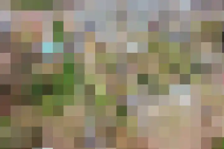 Warder 169 Warder thumbnail 44