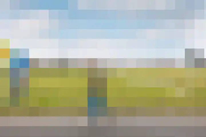 Warder 169 Warder thumbnail 46