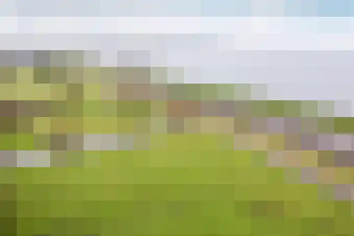 Warder 169 Warder thumbnail 47