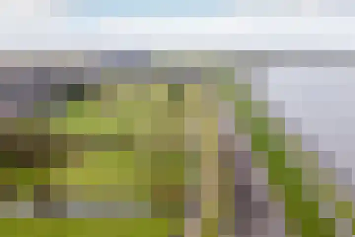 Warder 169 Warder thumbnail 48