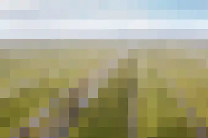 Warder 169 Warder thumbnail 49
