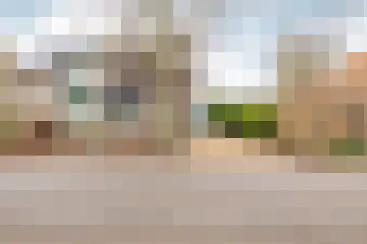 Warder 169 Warder thumbnail 5