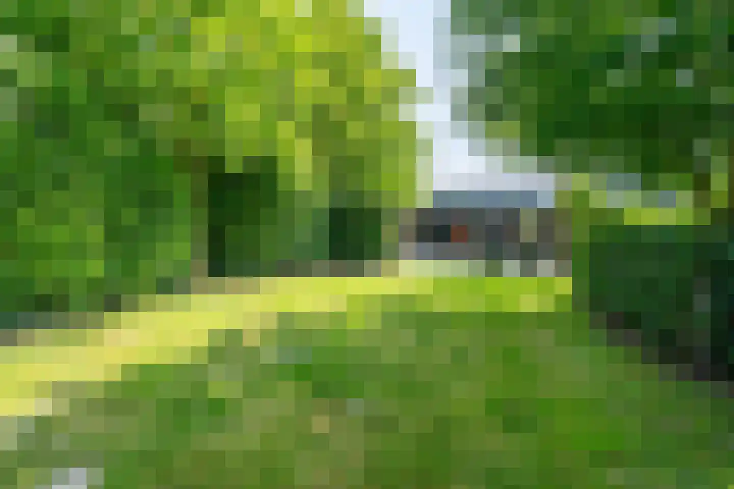 Warder 174 Warder thumbnail 10