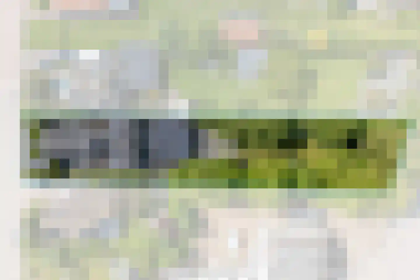 Warder 174 Warder thumbnail 13