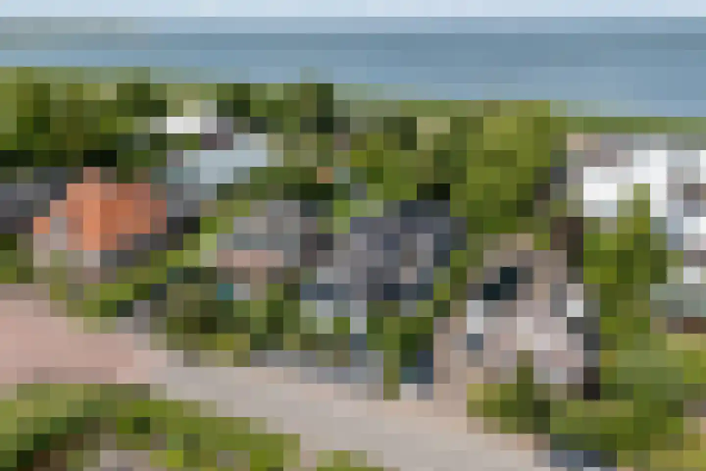 Warder 174 Warder thumbnail 15