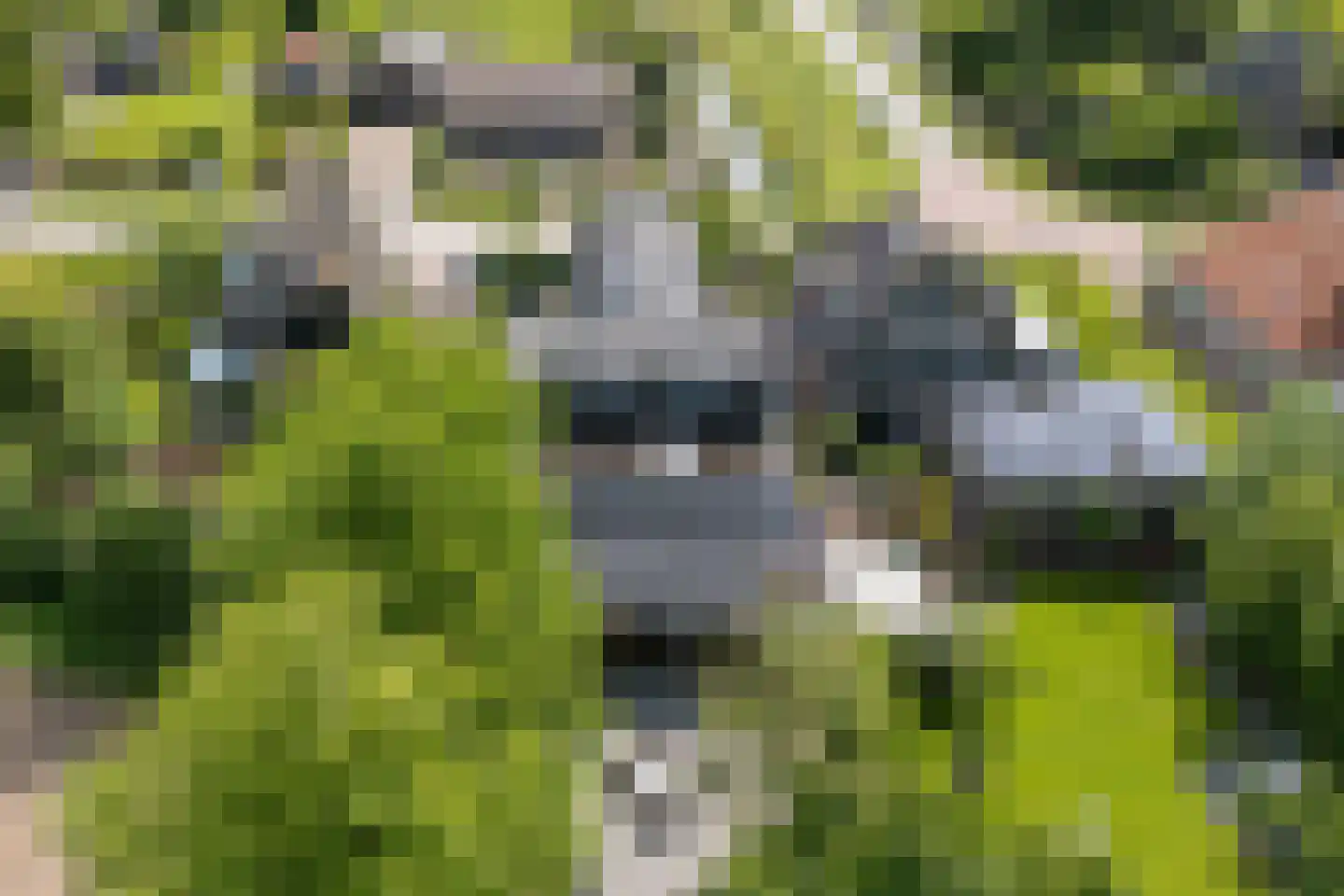 Warder 174 Warder thumbnail 19