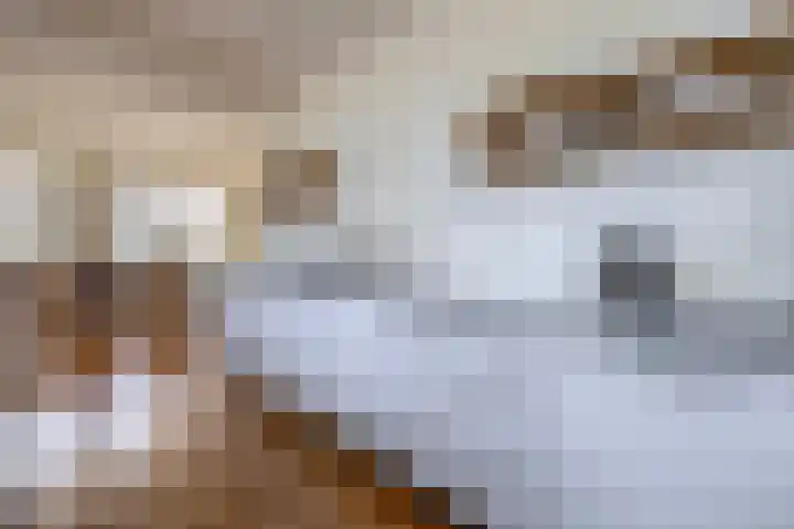 Warder 174 Warder thumbnail 36