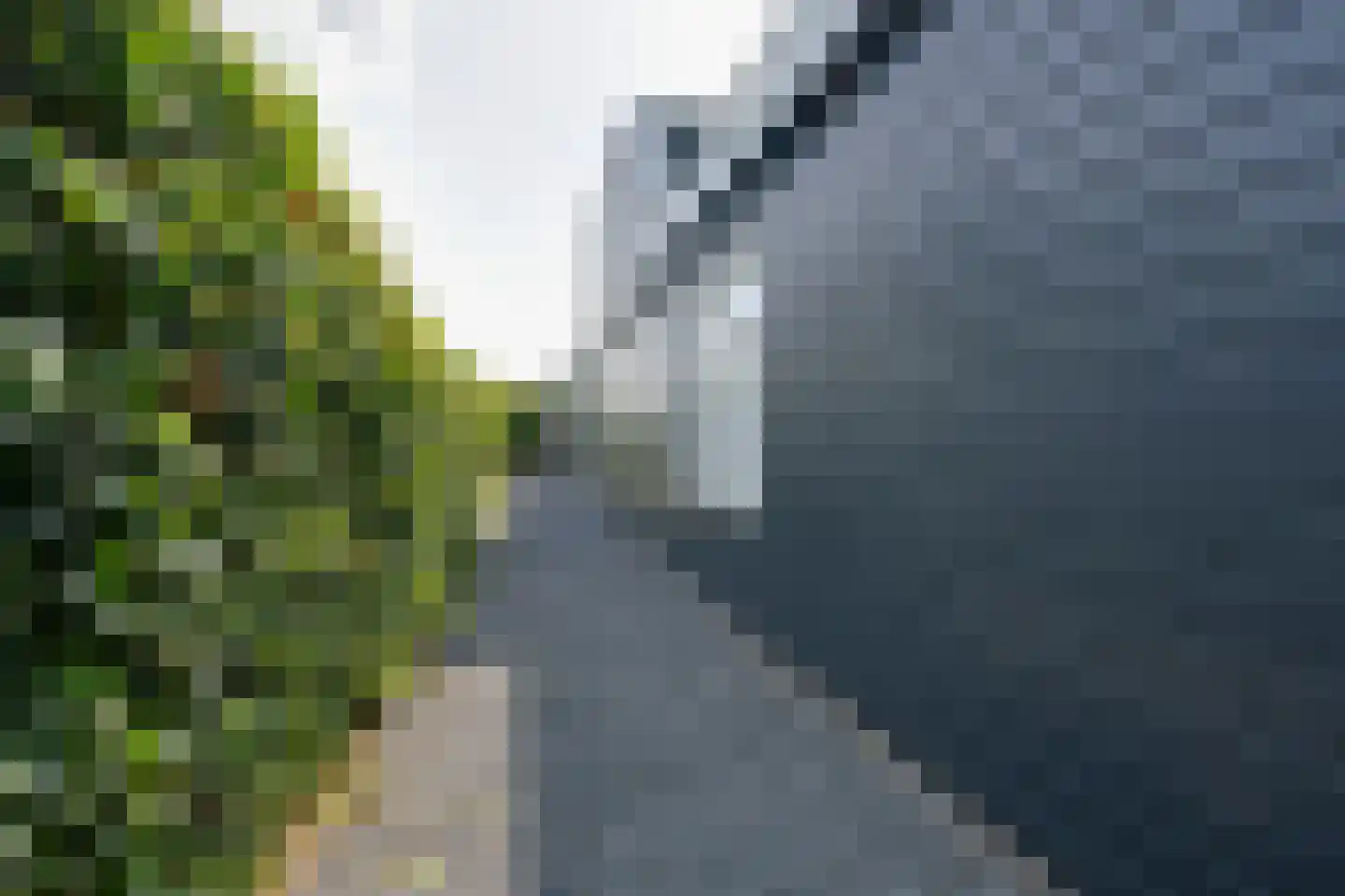 Warder 174 Warder thumbnail 74