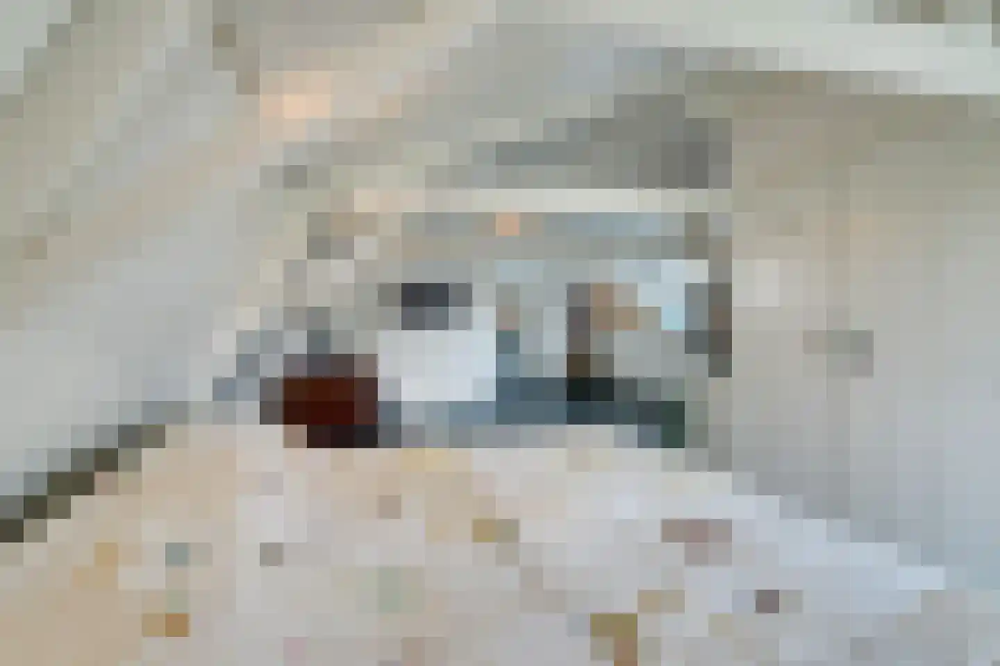 Warder 174 Warder thumbnail 82